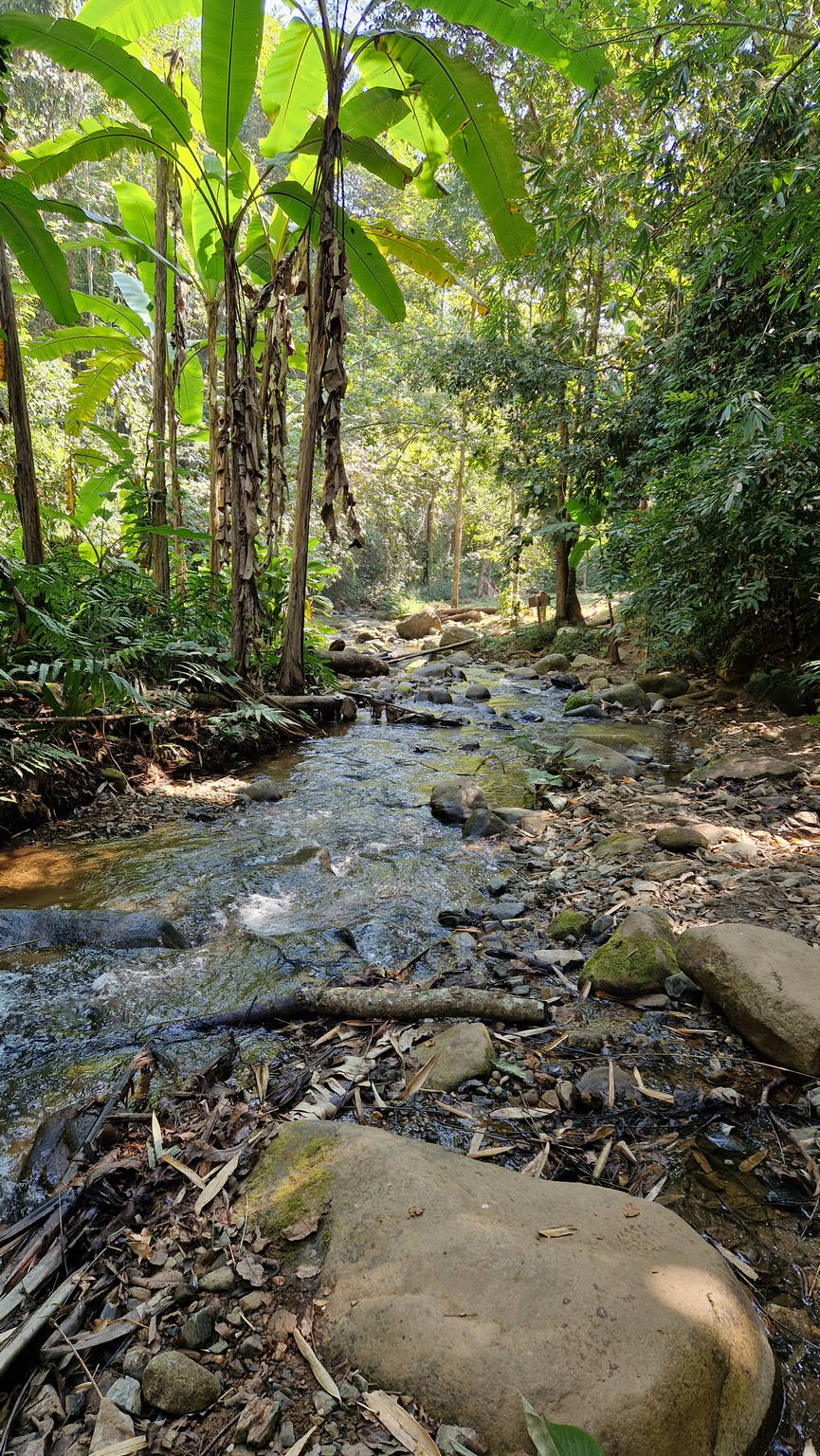 Khun Korn Waterfall Hike: Chiang Rai's Hidden 70m Giant