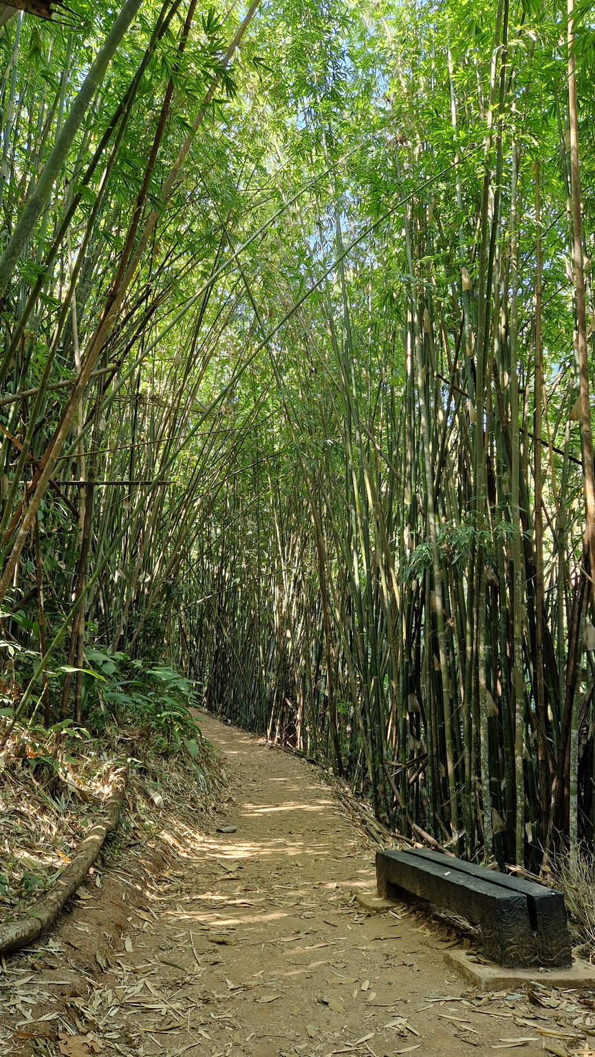 Khun Korn Waterfall Hike: Chiang Rai's Hidden 70m Giant