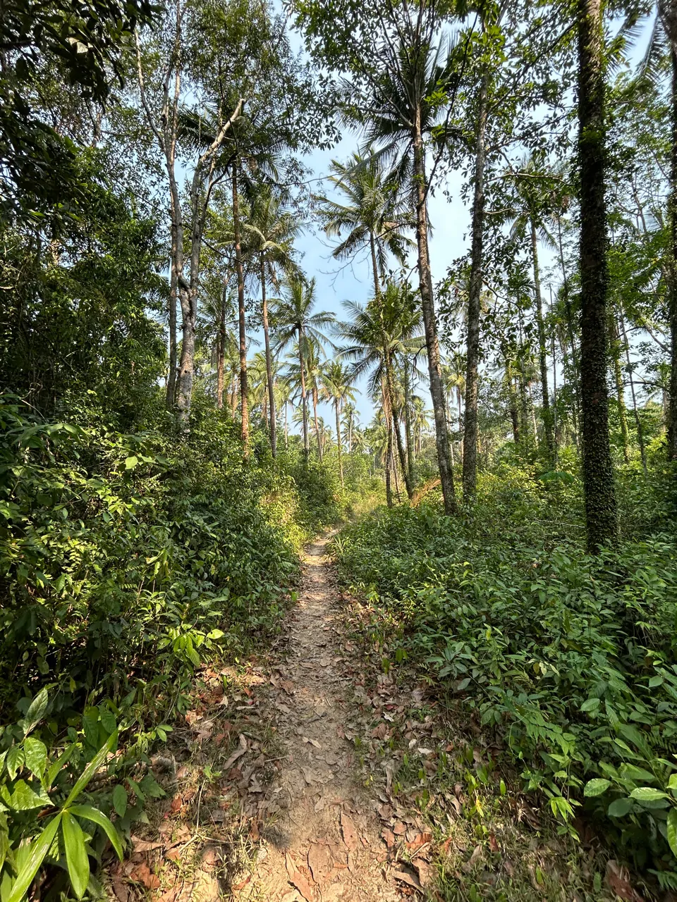 Koh Chang South Hike