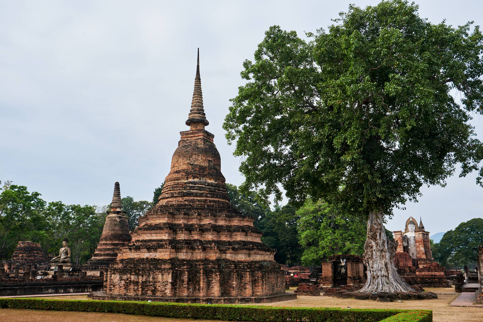 About HikinThai