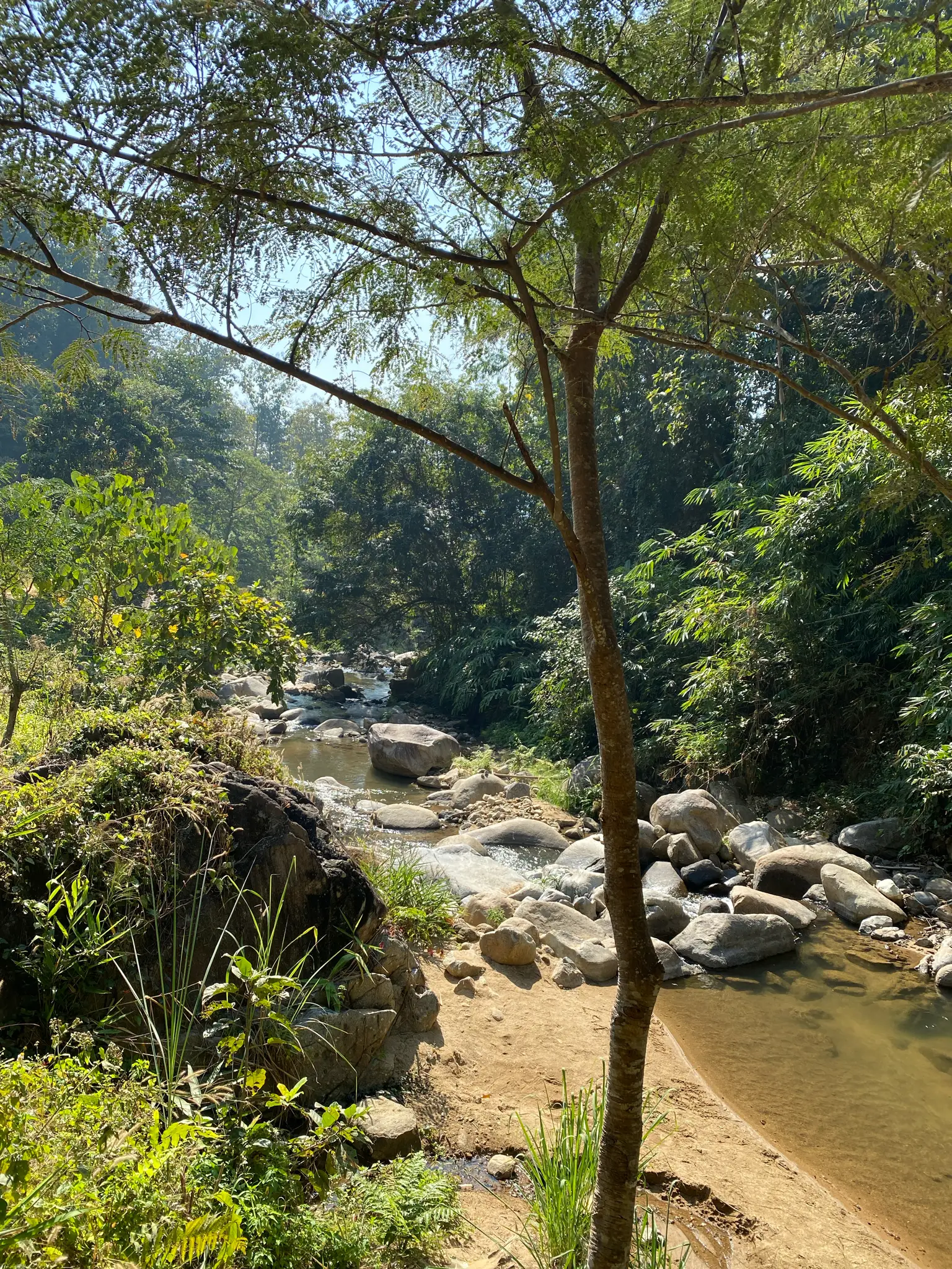 Ban Li Khai Rice Terraces Hike: 18km Loop Through Northern Thailand's Highlands