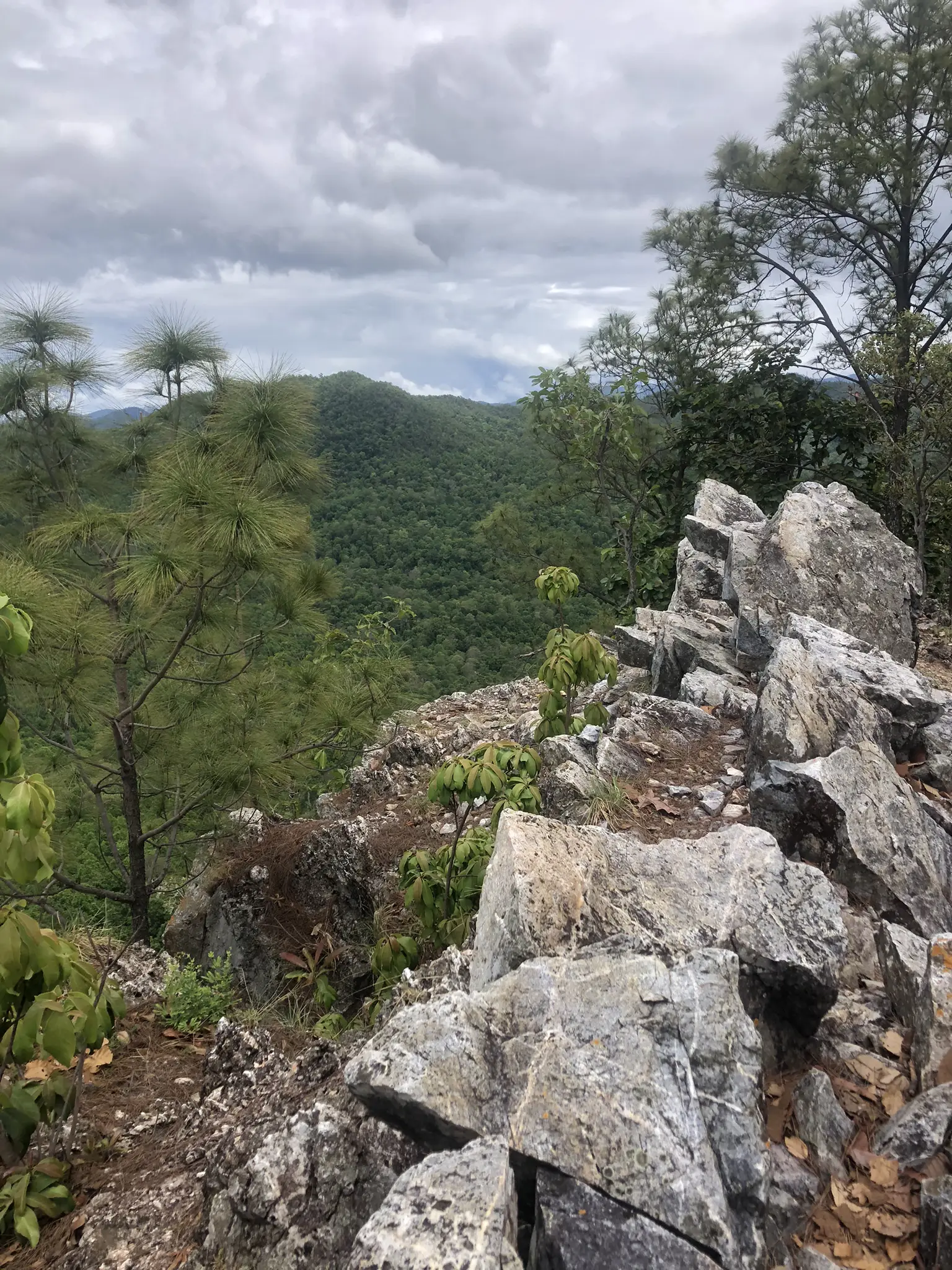 Doi Nang Mo Summit Hike: 7.9km Volcano Crater Trail Near Chiang Mai