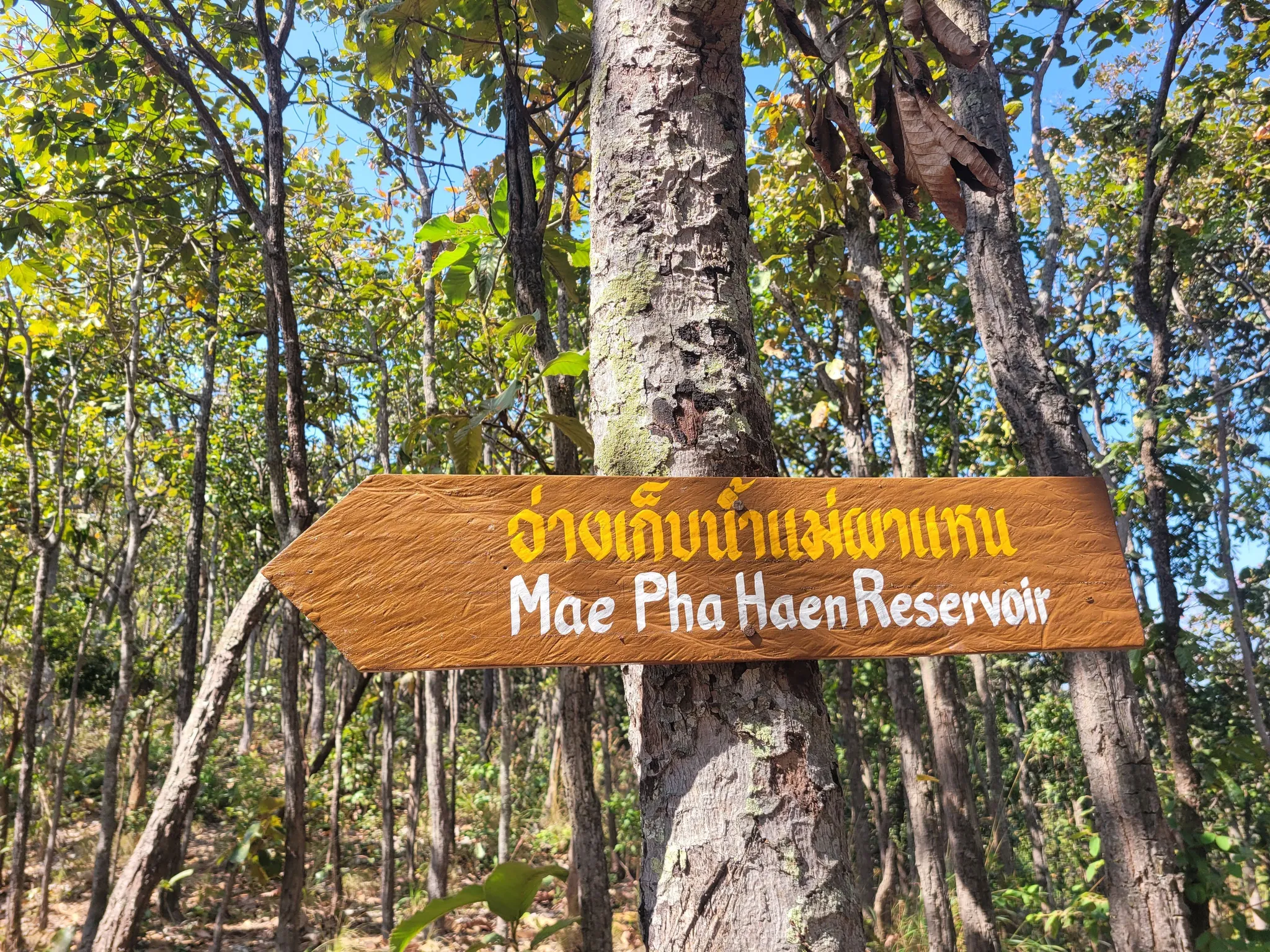 Doi Nang Mo Summit Hike: 7.9km Volcano Crater Trail Near Chiang Mai