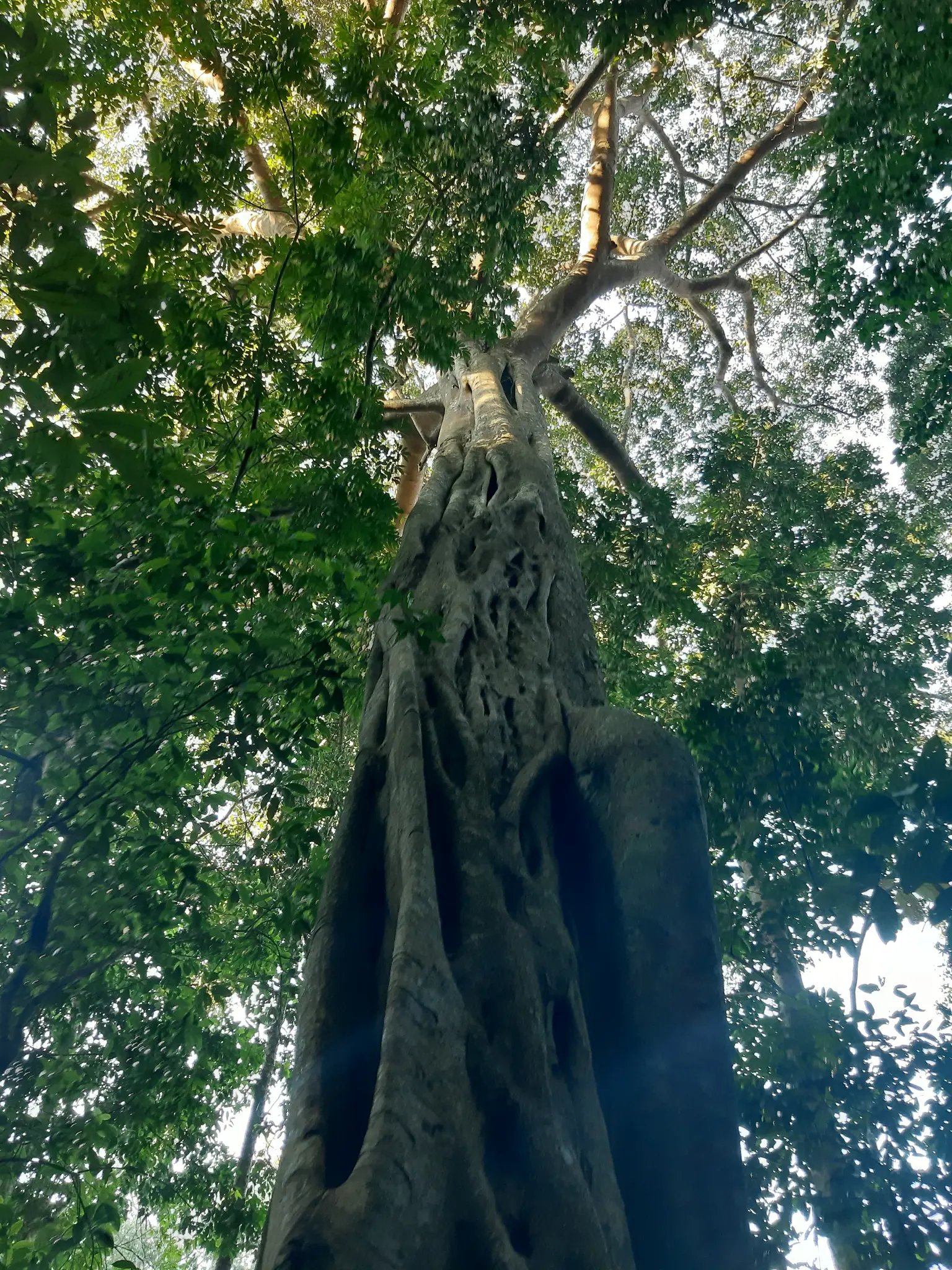 Monk s Trail Loop 10.6km Sacred Hike Through Chiang Mai s Mountains