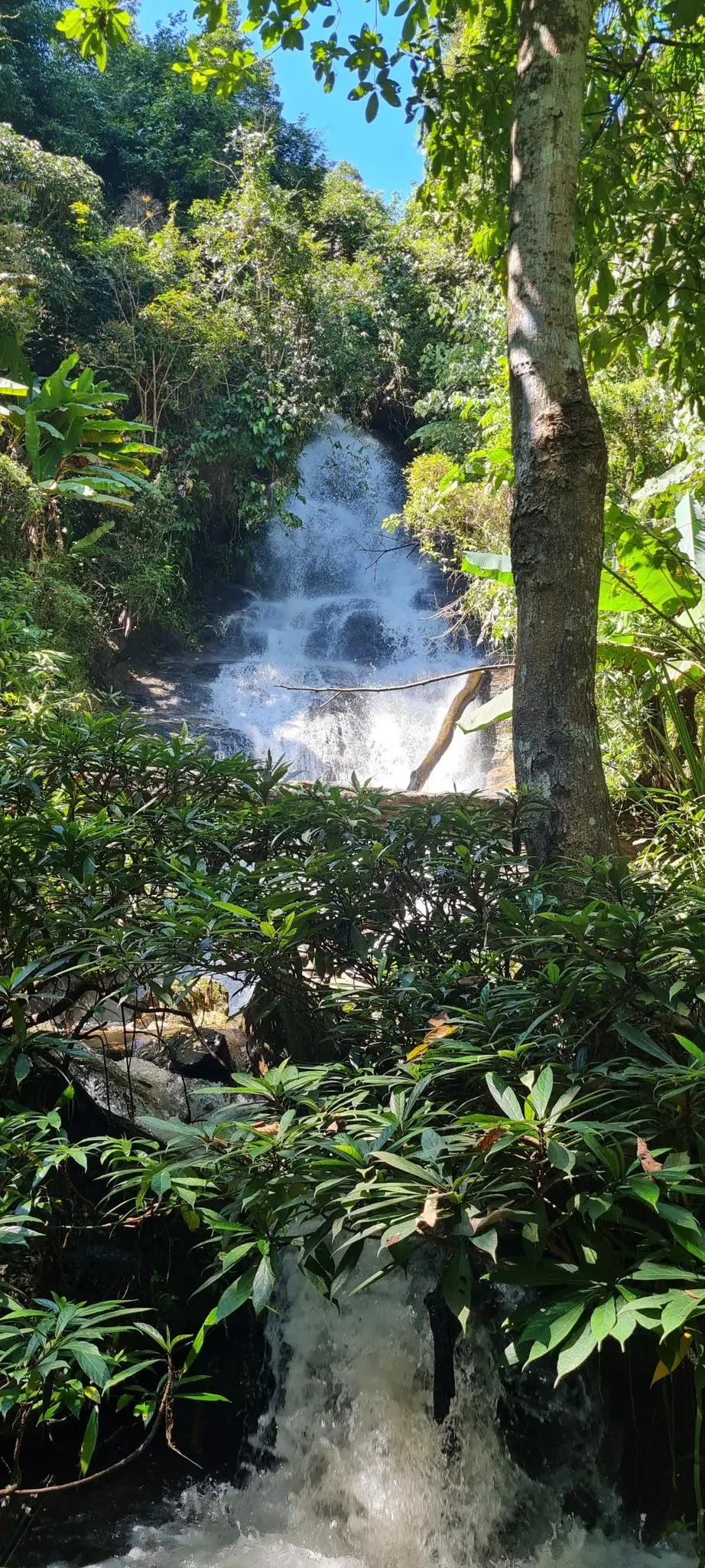 Monk s Trail Loop 10.6km Sacred Hike Through Chiang Mai s Mountains