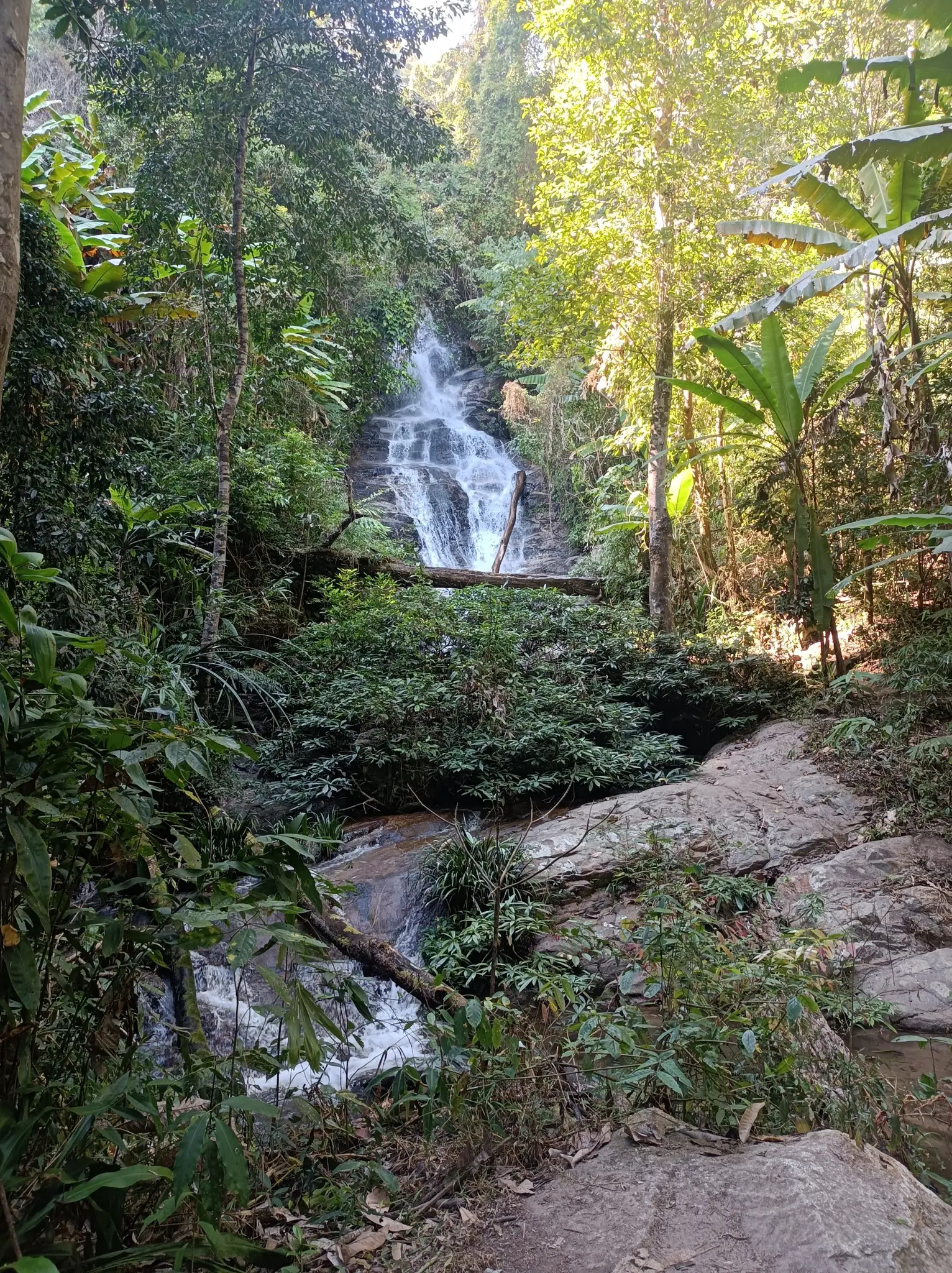 Monk s Trail Loop 10.6km Sacred Hike Through Chiang Mai s Mountains