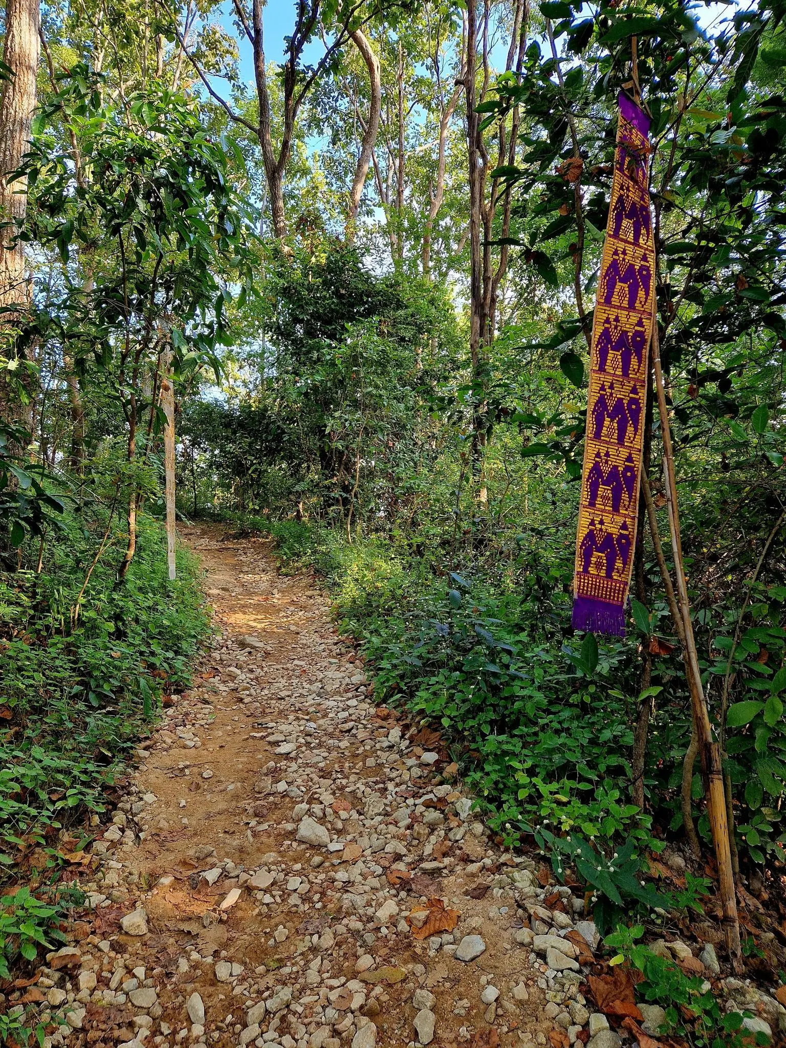 Monk s Trail Loop 10.6km Sacred Hike Through Chiang Mai s Mountains