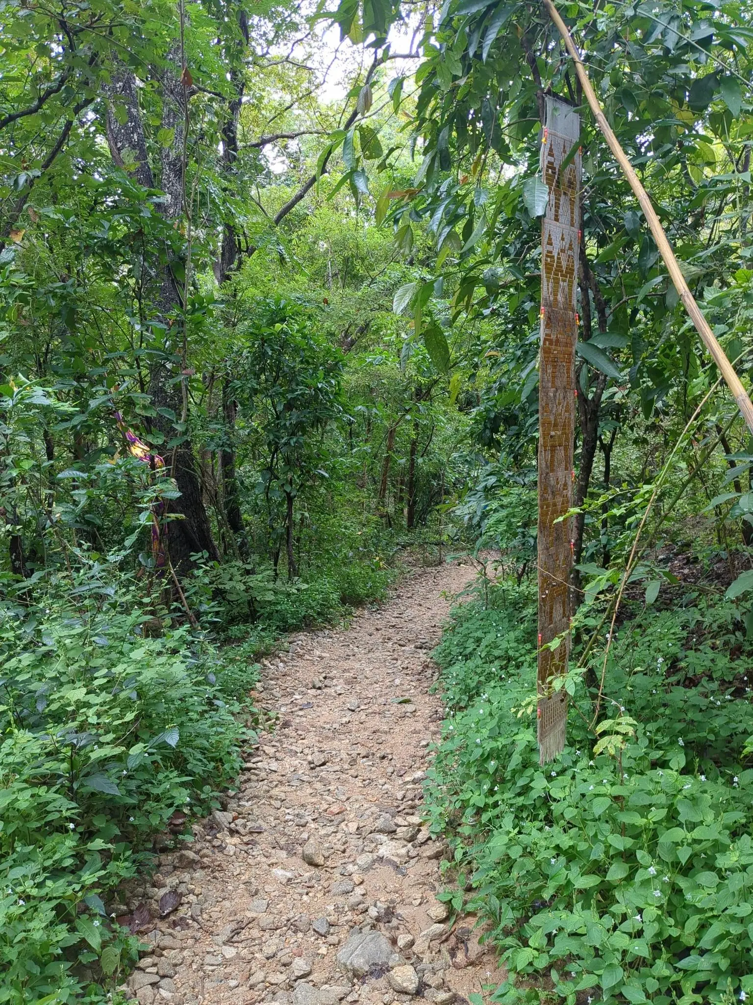 Monk s Trail Loop 10.6km Sacred Hike Through Chiang Mai s Mountains