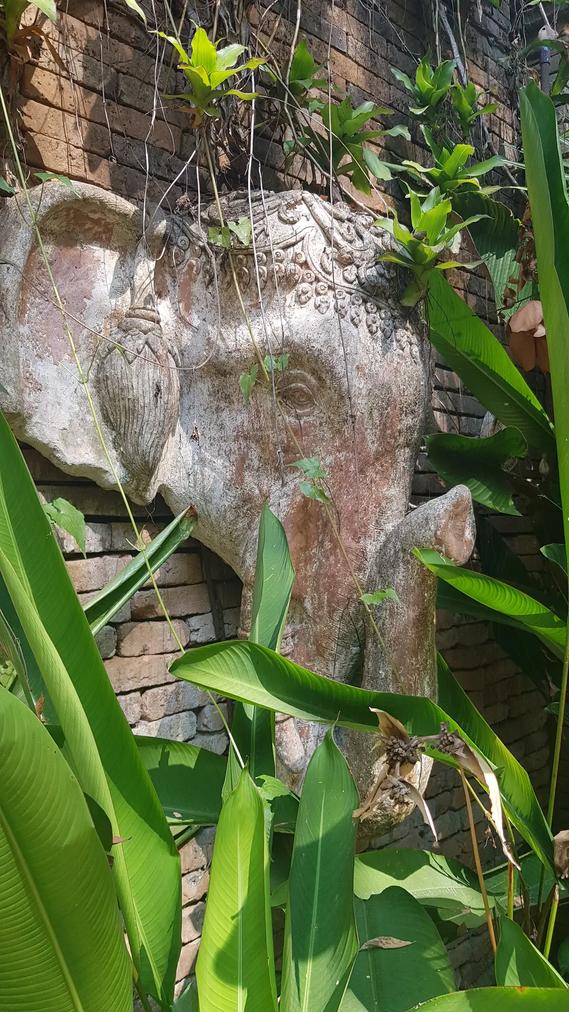 Monk s Trail Loop 10.6km Sacred Hike Through Chiang Mai s Mountains